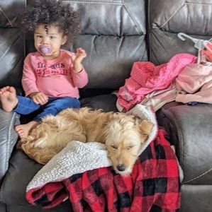 Meet your Posher, Linda